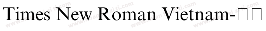 Times New Roman Vietnam字体转换